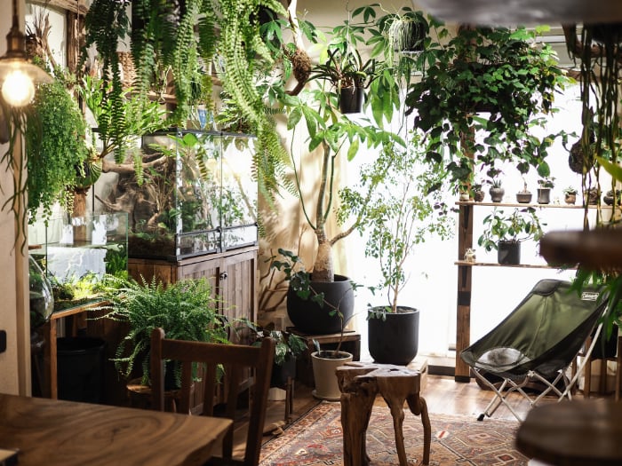 イエソト空間の達人たち＿このやさん