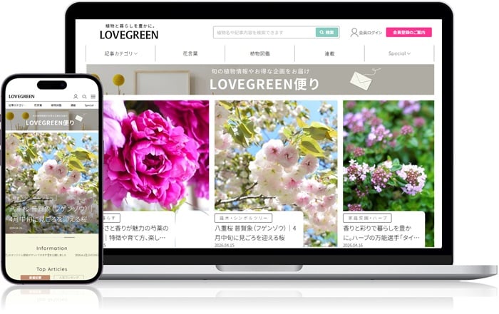 LOVEGREENモックアップ