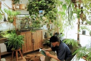 イエソト空間の達人たち①｜猫と植物が共存する心地良い住まい