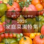 2026家庭菜園特集