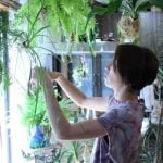 イエソト空間の達人たち②|緑とヴィンテージに囲まれた、家族の物語を感じる空間