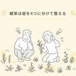 はじめての庭リノベ②｜雑草対策は庭を4つに分けて整えよう