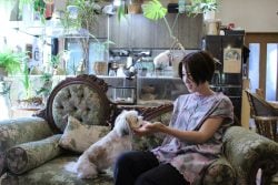 イエソト空間の達人たち②|緑とヴィンテージに囲まれた、家族の物語を感じる空間