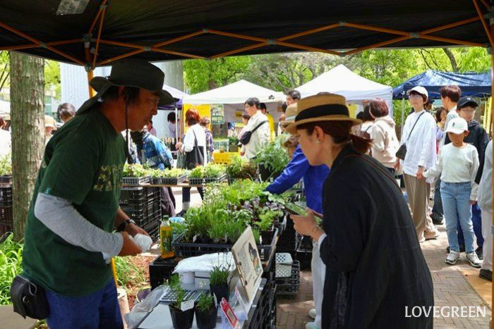 GREEN MARKET 2026春