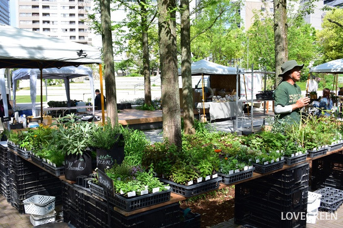 GREEN MARKET 2026春