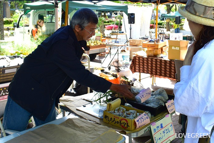 GREEN MARKET 2026春
