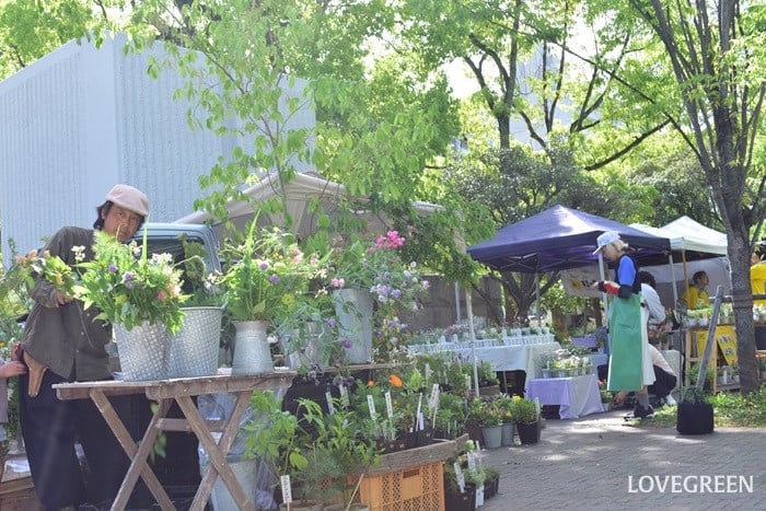 GREEN MARKET 2026春