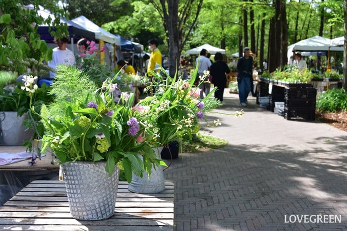 GREEN MARKET 2026春