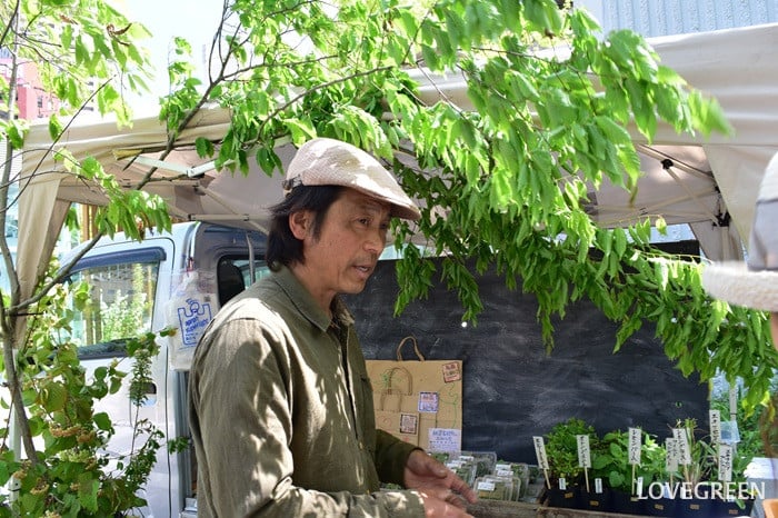 GREEN MARKET 2026春