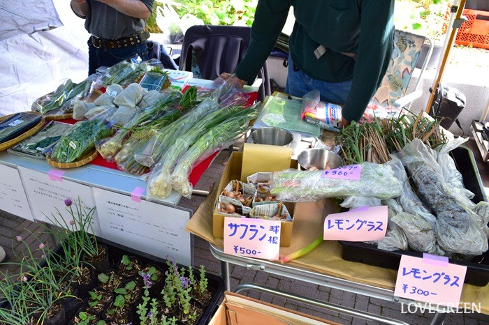GREEN MARKET 2026春