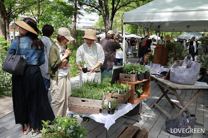 GREEN MARKET 2026春