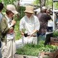 GREEN MARKET 2026春