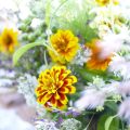 花のある暮らし