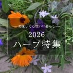 2026.5ハーブ特集タイトル