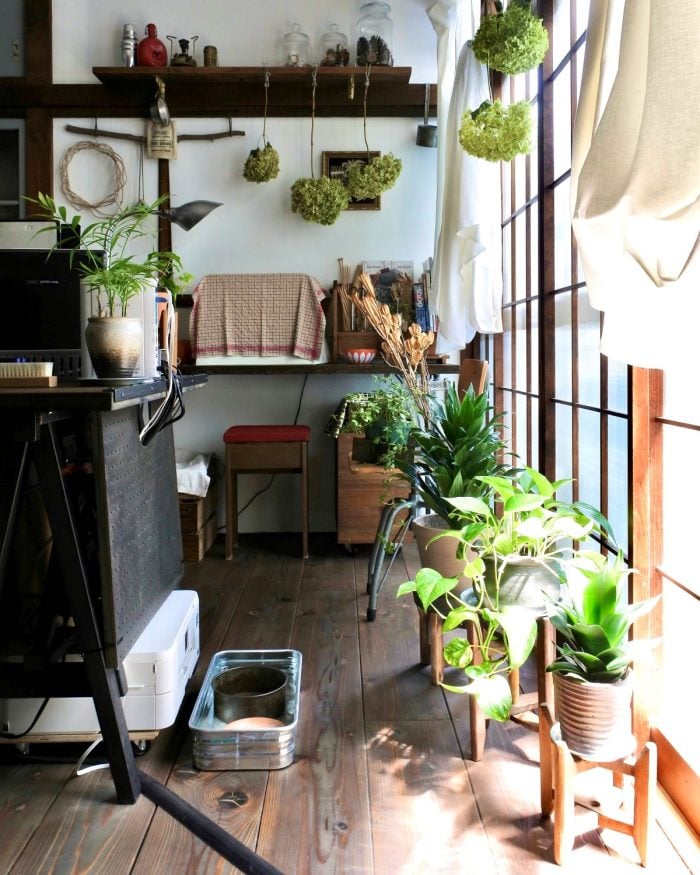 イエソト空間の達人たち③｜築古の家を心地良く育てる、庭と部屋を植物が行き来する暮らし
