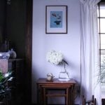イエソト空間の達人たち③｜築古の家を心地良く育てる、庭と部屋を植物が行き来する暮らし