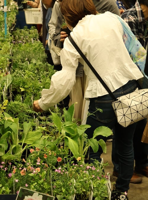 第8回花友フェスタ・幕張 花の大和