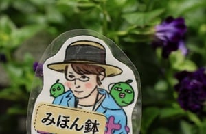 グリーンギャラリーガーデンズ 土谷ますみ