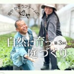 初夏の庭しごと 剪定と水やり｜畑やかとうふぁーむの自然に育つ庭づくり【6月】