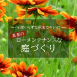 ローメンテナンスな庭づくり