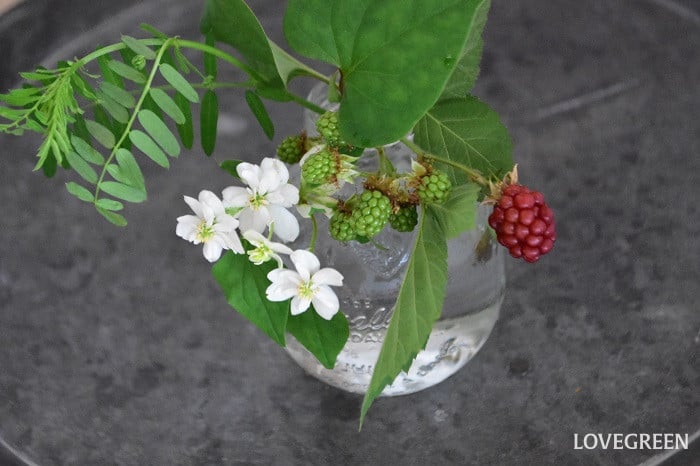 ブラックベリーと八重咲きどくだみの花あしらい
