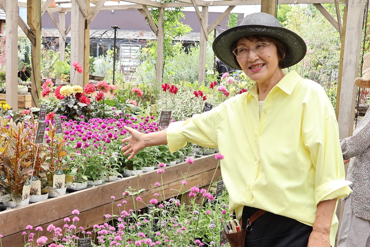 夏に強い花はこれ!土谷ますみさんおすすめ・暑さに負けない植物11選