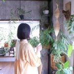 イエソト空間の達人たち④｜一人暮らしで植物とインテリアを楽しむ、毎日帰りたくなる家