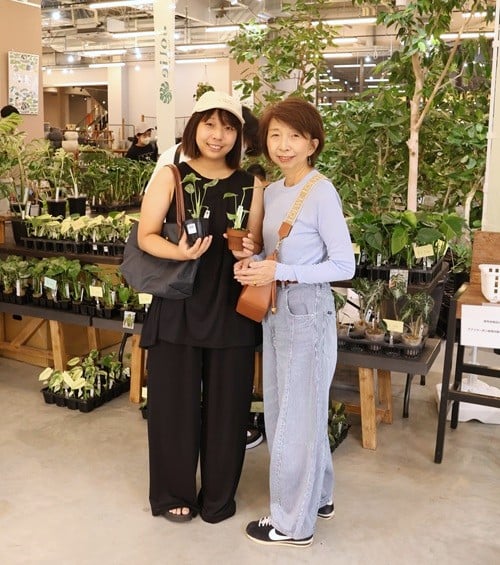 モンステラ　斑入りモンステラ　Jolie石川さん　