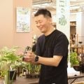モンステラ　斑入りモンステラ　Jolie石川さん　