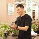 モンステラ　斑入りモンステラ　Jolie石川さん　