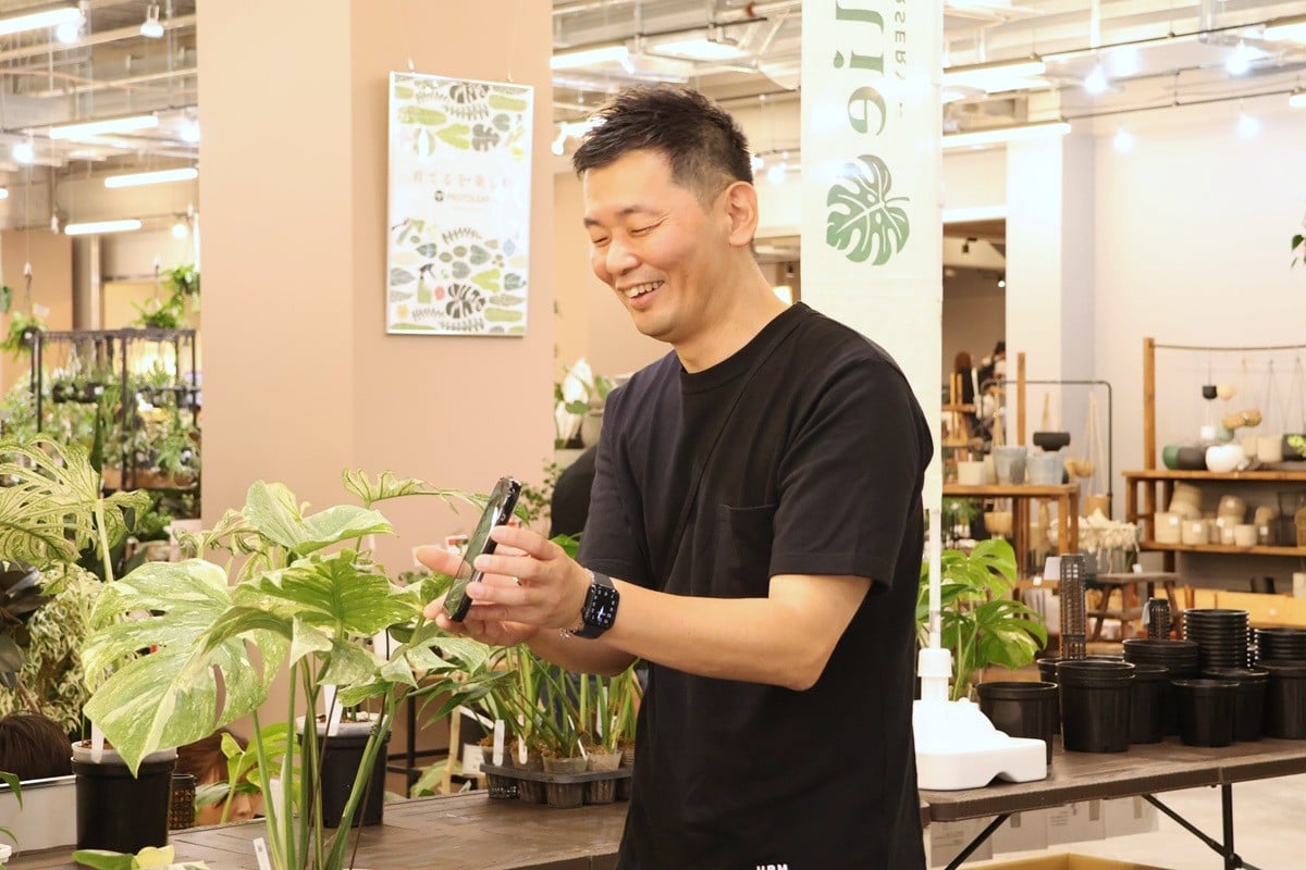 【枯らさないコツ】「モンステラ」や「斑入りモンステラ」をイキイキと育てる方法｜Jolie石川さん直伝