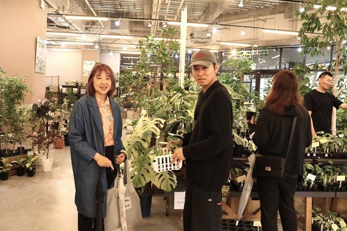 モンステラ　斑入りモンステラ　Jolie石川さん　