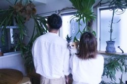 イエソト空間の達人たち⑤|木陰リビングが心地良い、ビカクシダに囲まれた暮らし