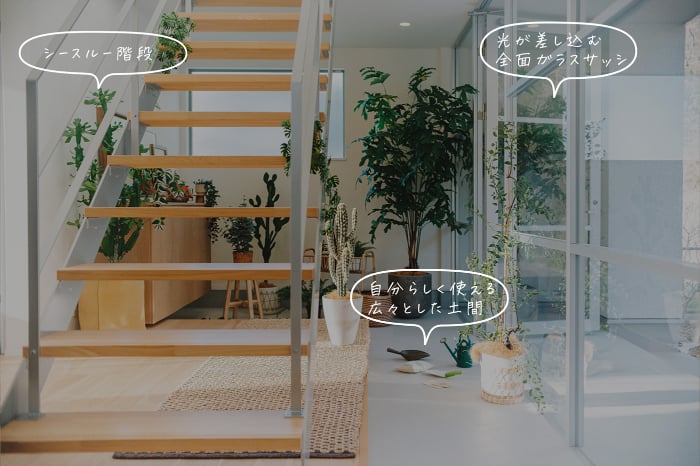 その「余白」が、植物との暮らしを豊かにする。 Doliveと考える、緑と心地よく過ごす住まいのカタチ