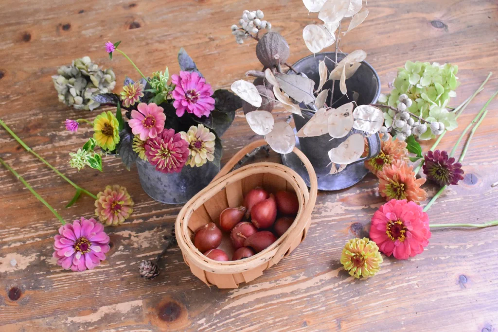 Garden Journal