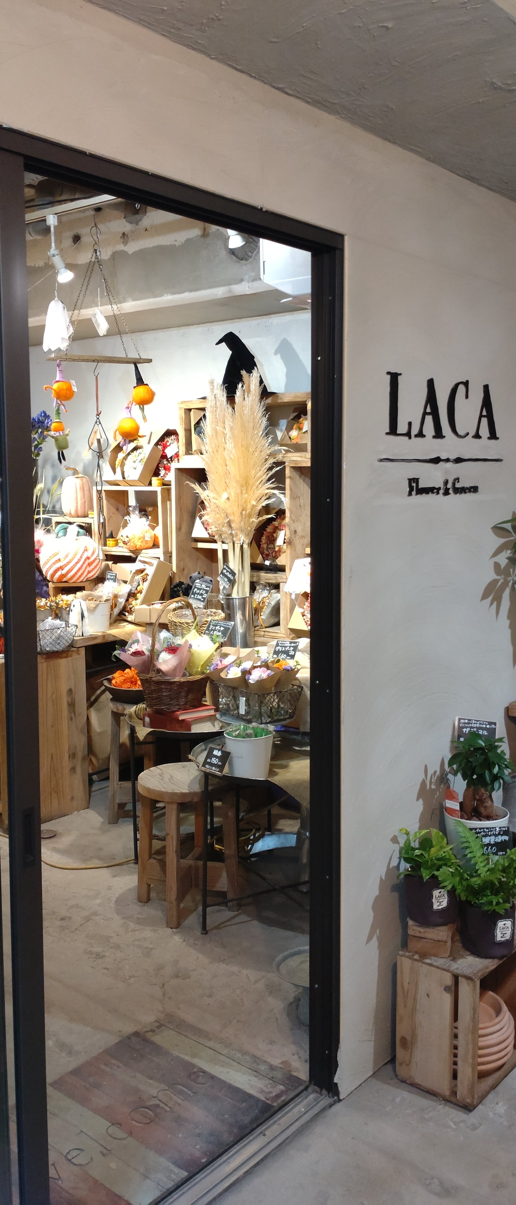 shop_pictuer_1