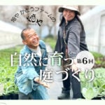 秋の景色をつくるグラス植物の魅力|畑や かとうふぁーむの自然に育つ庭づくり【9月】