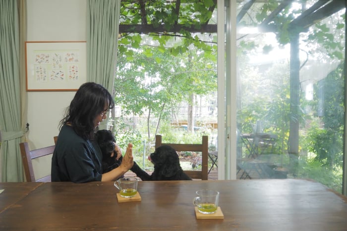夏でもエアコンに頼らない暮らしを実現|自然の力を借りた庭づくりとは? 埼玉県熊谷市の「花音の森」