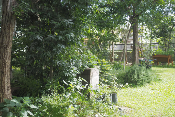 夏でもエアコンに頼らない暮らしを実現|自然の力を借りた庭づくりとは? 埼玉県熊谷市の「花音の森」