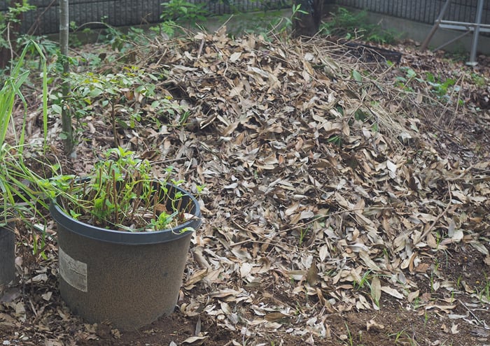 夏でもエアコンに頼らない暮らしを実現|自然の力を借りた庭づくりとは? 埼玉県熊谷市の「花音の森」