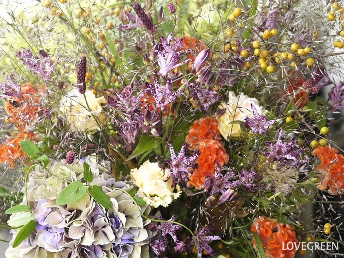 グラス類×季節の花で野趣ある秋の野原風
