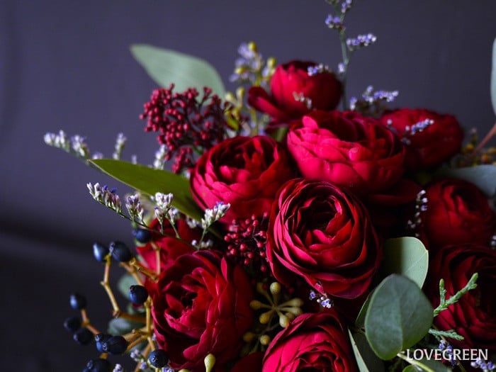 冬の花