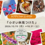 フォトコン2026vol3