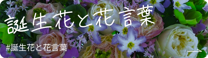 誕生花と花言葉