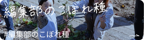 編集部のこぼれ種